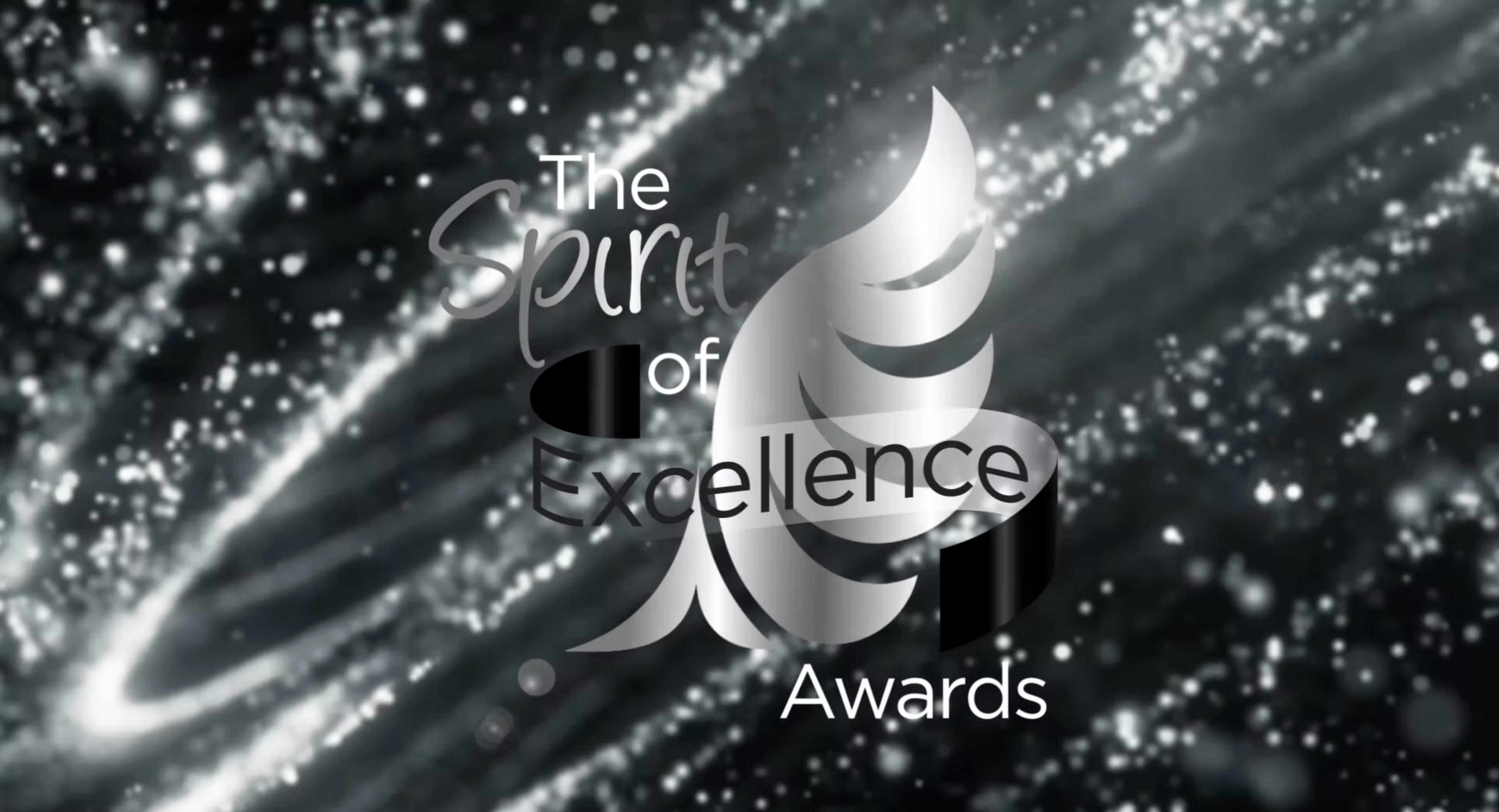 Spirit of Excellence Award 2021