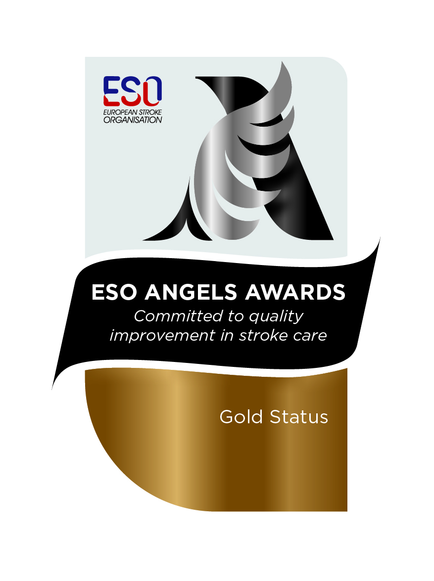 Премия ESO в категории «Золото» — без даты
