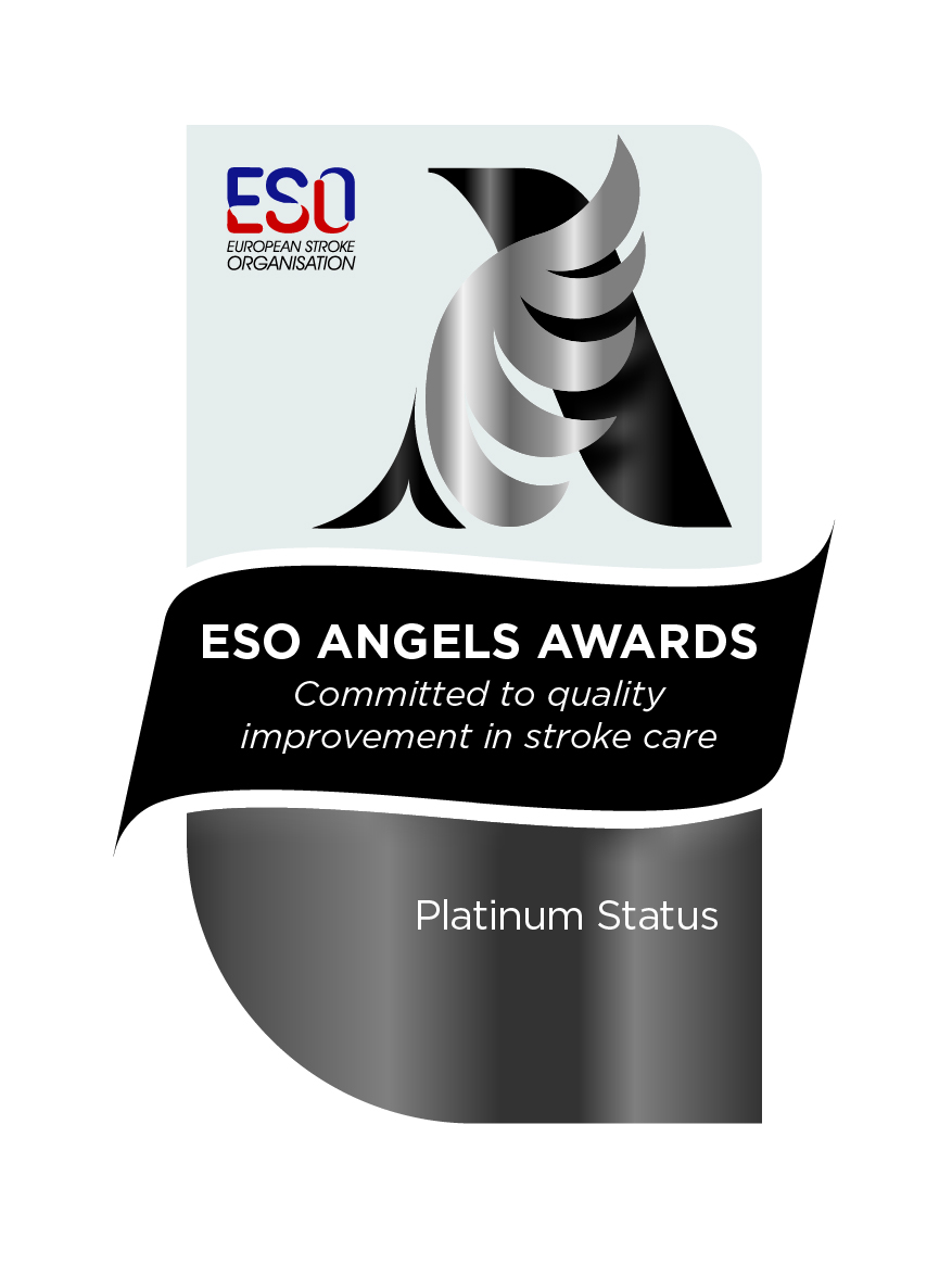 Премия ESO в категории «Платина» — без даты