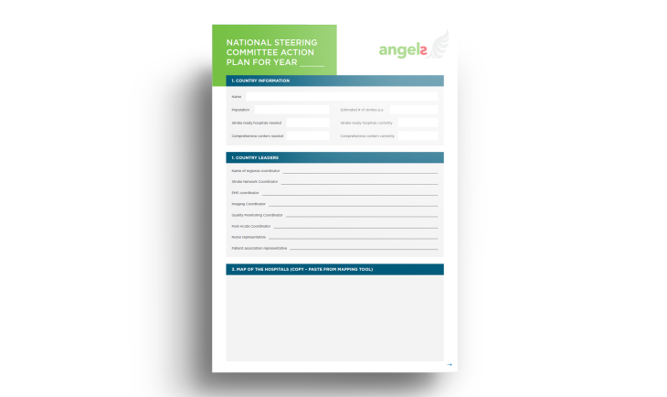1 National Steering Committee Action Plan.png