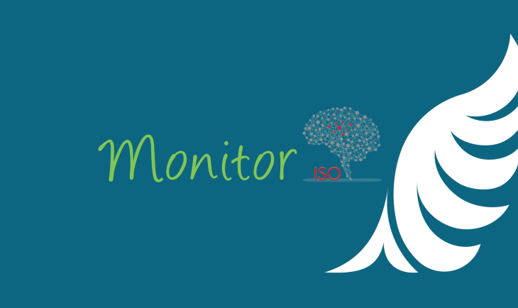 Monitor ISO video
