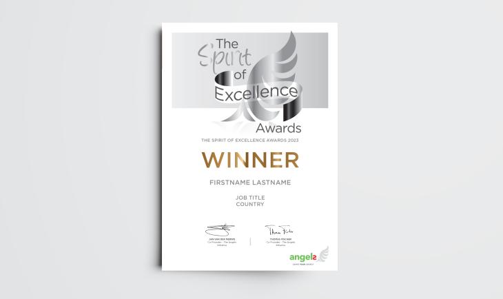 SPIRIT OF EXCELLLENCE award