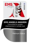 EMS Platinum 