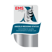 EMS 100 REGIONS
